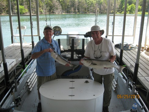 Nice Striped Bass